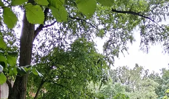 Domek Letniskowy