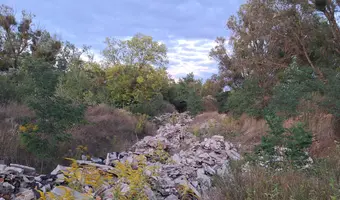 Opusczona fabryka tkanin Silwana, Gorzów wlkp.