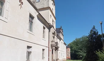 Pałac, dąbrowa niemodlińska