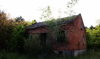 Opuszczona wioska w lesie
