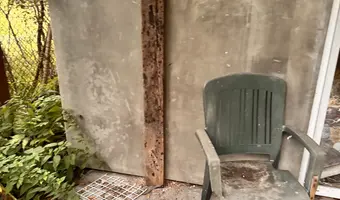 Mocno zarośnięty dom przy drodze