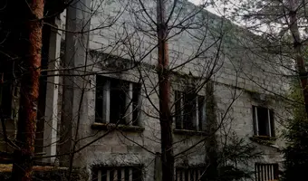 Galeria Sztuki
