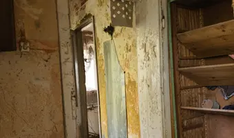 Ruina domu i szopa