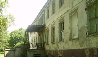 Pałac - opuszczona kolonia, Debrznica,