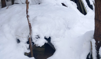 Opuszczone gospodarstwo