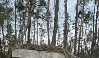 Kompleks schronów, białobrzegi- nieporęt - zdjęcie 2/4