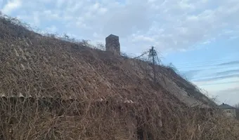 Opuszczony dom, Dzierdziówka