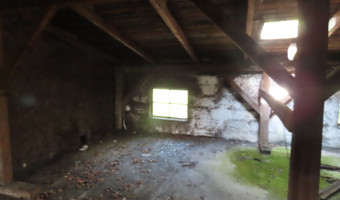 Gorzelnia, mileszewy