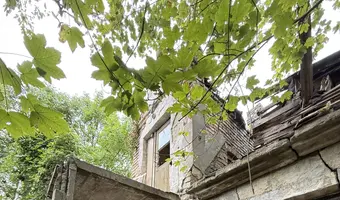 Zarośnięty dom