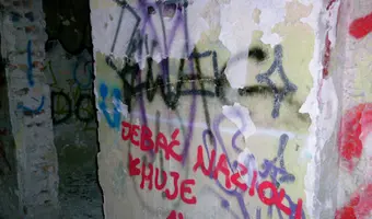 Zakład dla Nerwowo i Psychicznie Chorych Żydów - Zofiówka