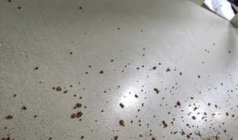 Opuszczony zakład p a w o