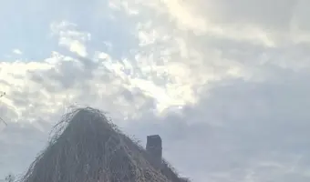 Opuszczony dom, dzierdziówka - zdjęcie 4/4