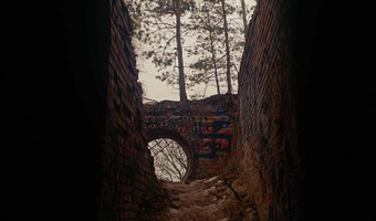 Zakład dla nerwowo i psychicznie chorych Żydów - zofiówka