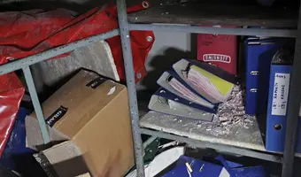 Złota Sosna