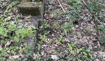 Opuszczone budynki - zdjęcie 2/4