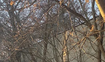 Opuszczony serwis opon