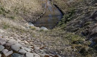 Stary zapomniany teren retencyjny