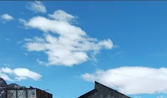 Końcówka trans-andyjskiej wąsko torówki