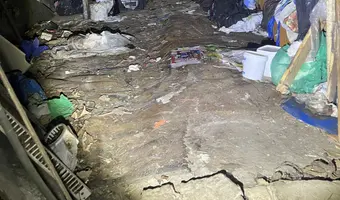 Wielka melina w starej działce
