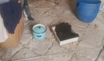 Fabryka i hale szedowe, biura