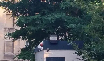 Fabryka i hale szedowe