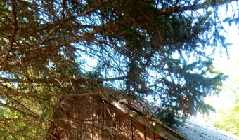 Opuszczony dom - zdjęcie 3/3