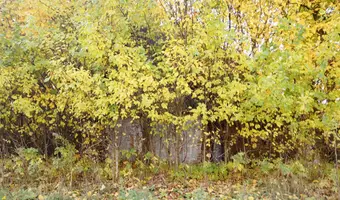 Chatka i stodoła