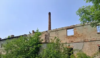 Krochmalnia, Borzymie