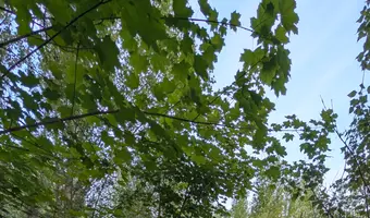 Trzy opuszczone budynki