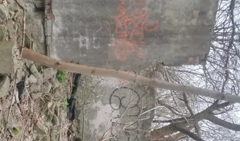 Ruiny kilku domów w lasku - photo 2/4