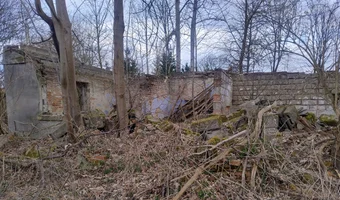 Ruiny gospodarstwa - zdjęcie 4/4