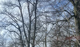 Pałac Wola Boglewska była szkola