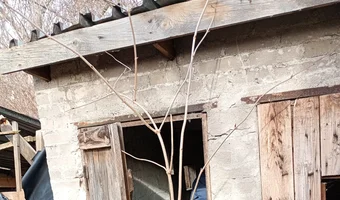 Opuszczone gospodarstwo