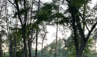 Cmentarz Żydowski, karczew - otwock - zdjęcie 2/64