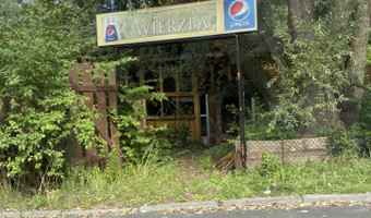 Opuszczony bar pod wierzbą