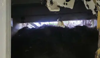 Opusczony budynek - zdjęcie 2/4