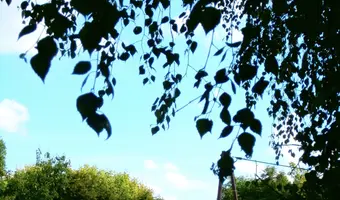 Opuszczone domki letniskowe - zdjęcie 5/10