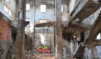 Fabryka Śląska celuloza, malczyce - zdjęcie 2/4