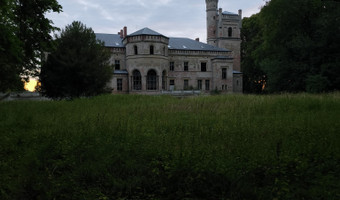 Pałac z x i x-wieku., dreżewo
