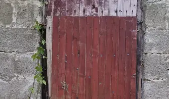 Stary dom w środku lasu
