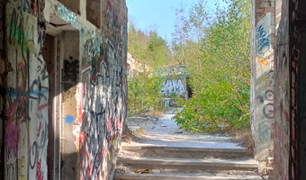 Zakład dla nerwowo i psychicznie chorych Żydów - zofiówka