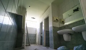 Złota Sosna