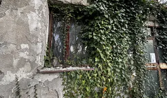 Opuszczona restauracja " pod sosnami" - photo 4/4