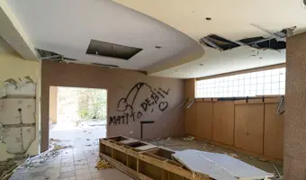 Złota Sosna