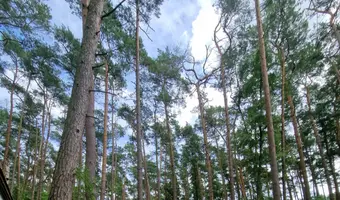 Opuszczone domki nad morzem