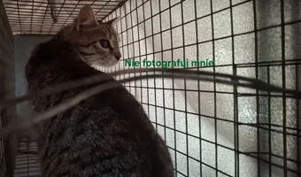 Testowe miejsce do sprawdzenia systemu ocen