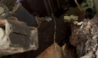 Opuszczona kamienica