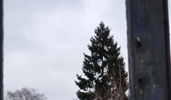 Opuszczona hurtownia tytoniu, Łódź