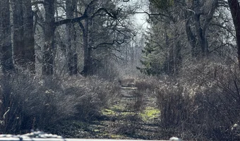 Fort szcza szczęśliwice, warszawa