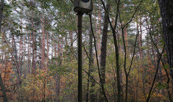 Domki letniskowe cisza leśna